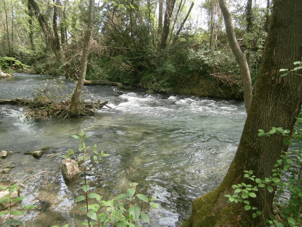 Gite Valescure Saint-Michel-de-Deze Bagian luar foto